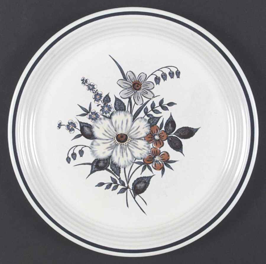 Blue Ridge Dinner Plate by Town & Country-1