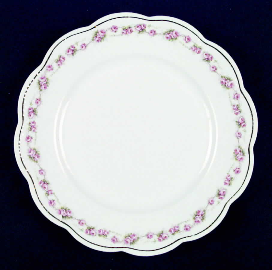 Marquis Dinner Plate by Tiara (Bavaria)-1
