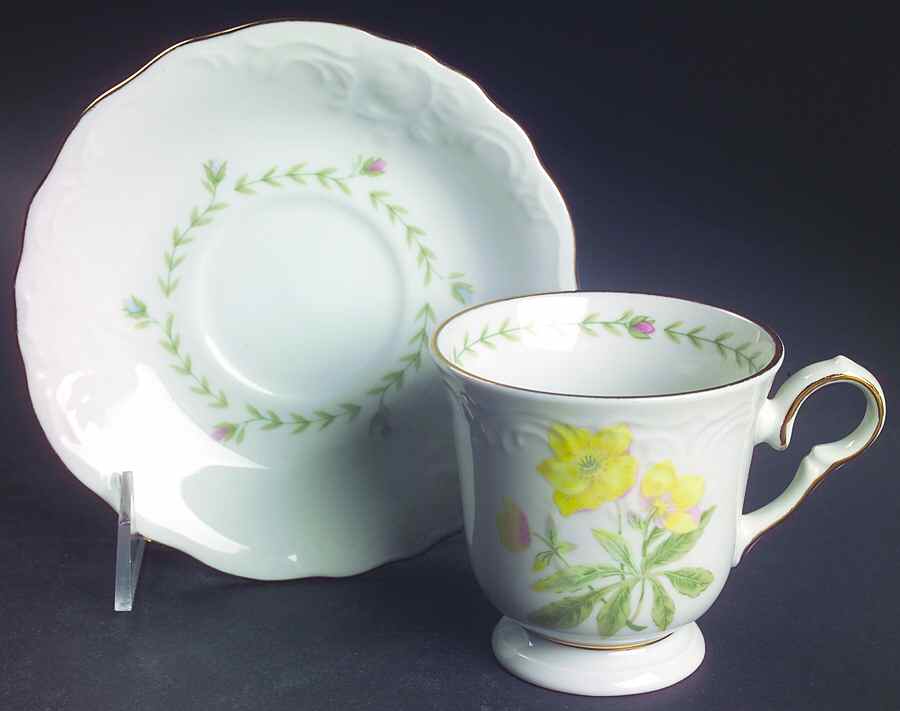 Floriade Footed Cup & Saucer Set by Tienshan-1