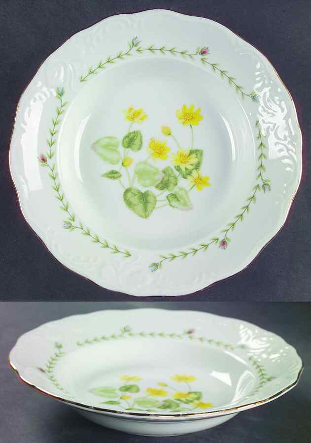 Floriade Rim Soup Bowl by Tienshan-1