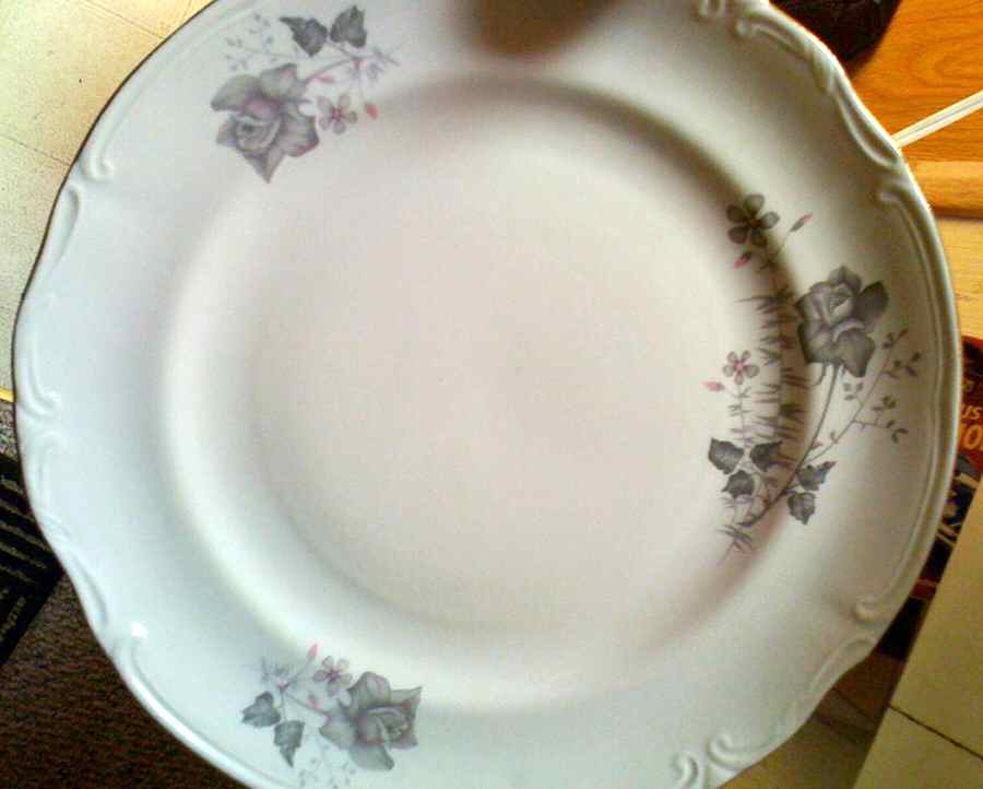 TIL5 Dinner Plate by R S Tillowitz-1