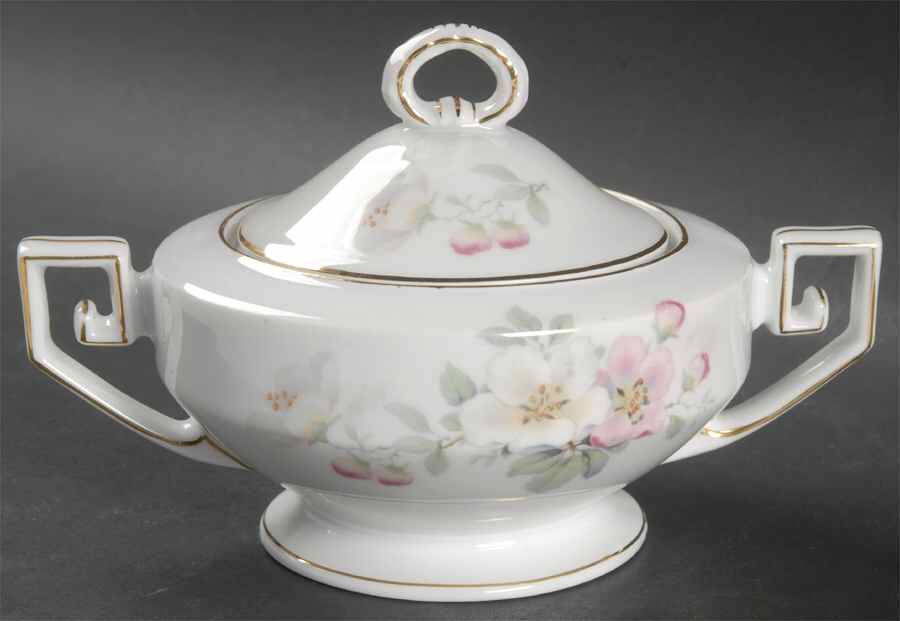 Wild Rose Sugar Bowl & Lid by Tirschenreuth-1