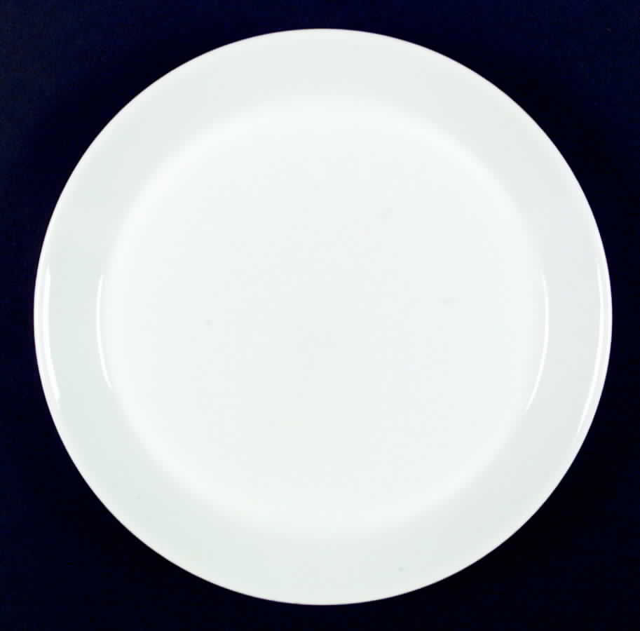 Basic V Dinner Plate by Trend Pacific-1