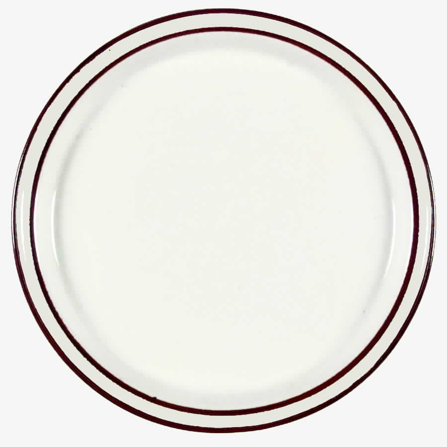 Earthstone Rust Brown Dinner Plate by Trend Pacific-1