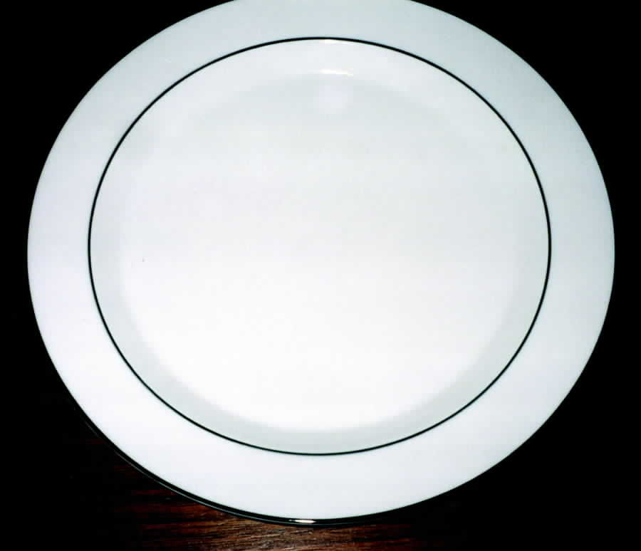 Mesa Green Dinner Plate by Trend Pacific-1