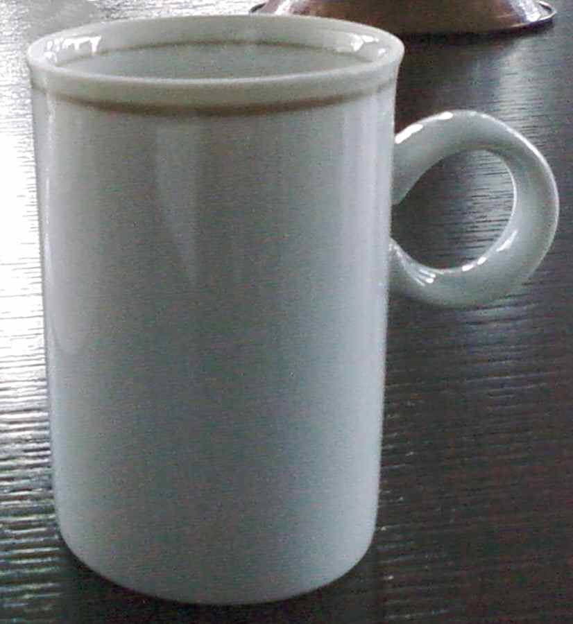 Mesa Tan Mug by Trend Pacific-1