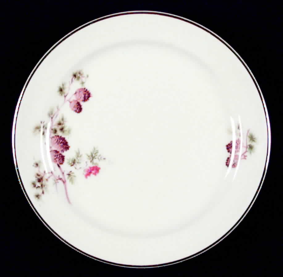 1649 Dinner Plate by Taylor, Smith & Taylor (Ts&T)-1