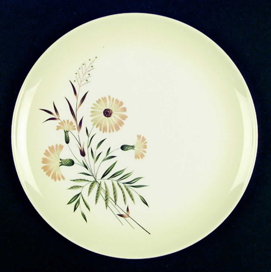 Shasta Daisy Dinner Plate by Taylor, Smith & Taylor (Ts&T)-1