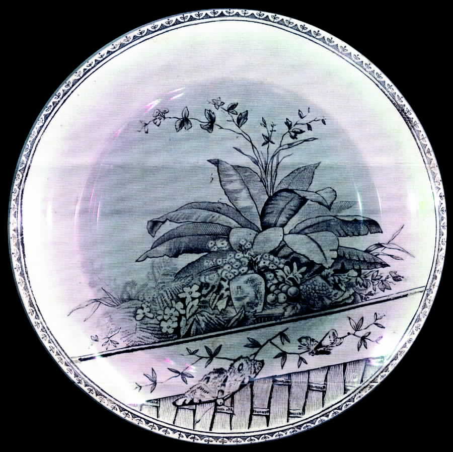 Brazil Rim Soup Bowl by Turner's (England)-1