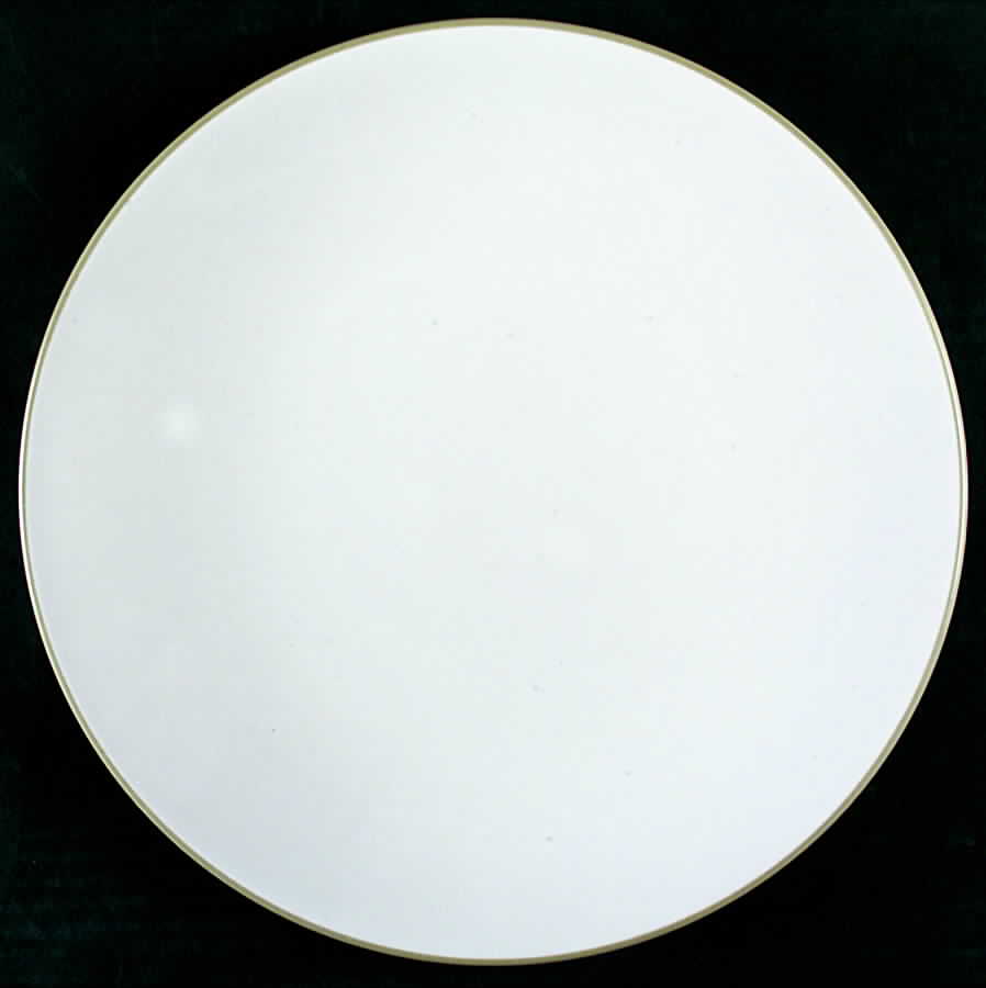 Cassina Sage Dinner Plate by Tabletops Unlimited-1