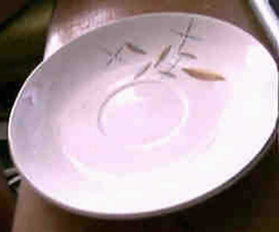 TAX1 Saucer by Tamara (Japan)-1