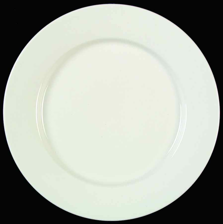 Basics White Dinner Plate by Thomson-1