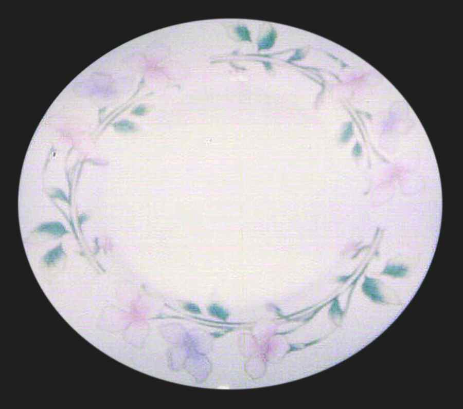 TAU22 Dinner Plate by Tabletops Unlimited-1