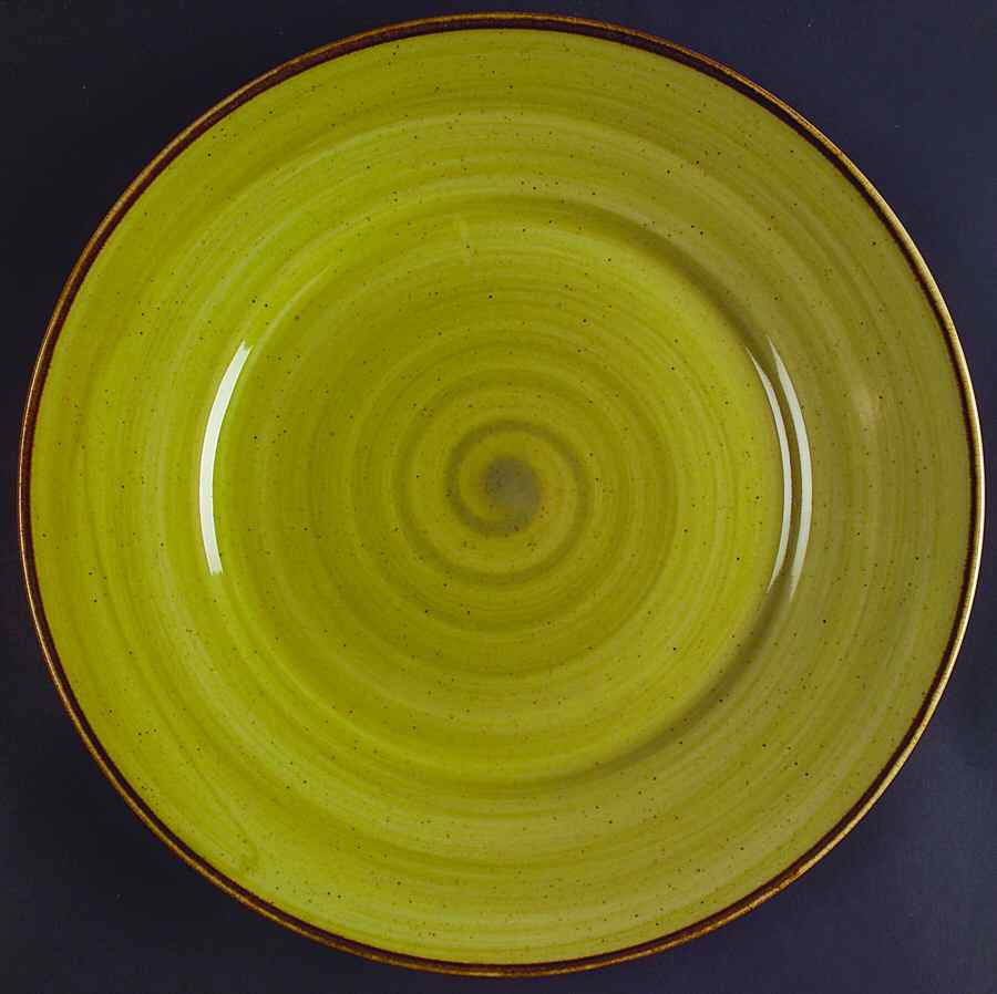 Amazon Dinner Plate by Thomson-1