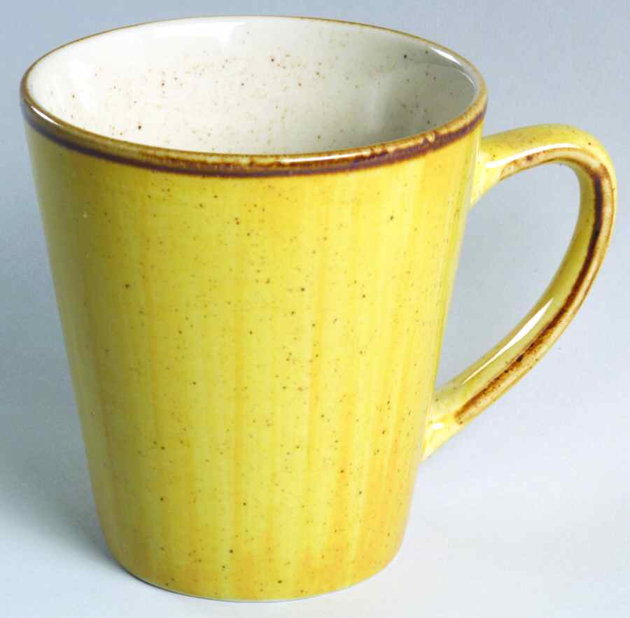Canyon Mug by Thomson-1