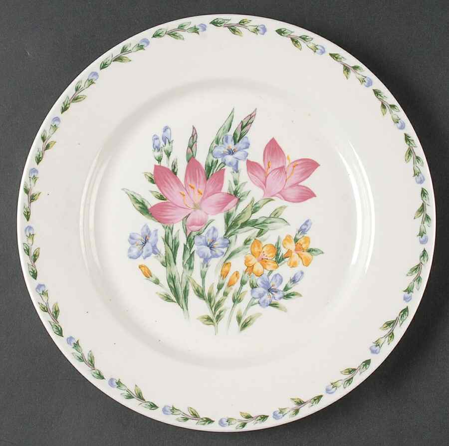 Crocus Dinner Plate by Thomson-1
