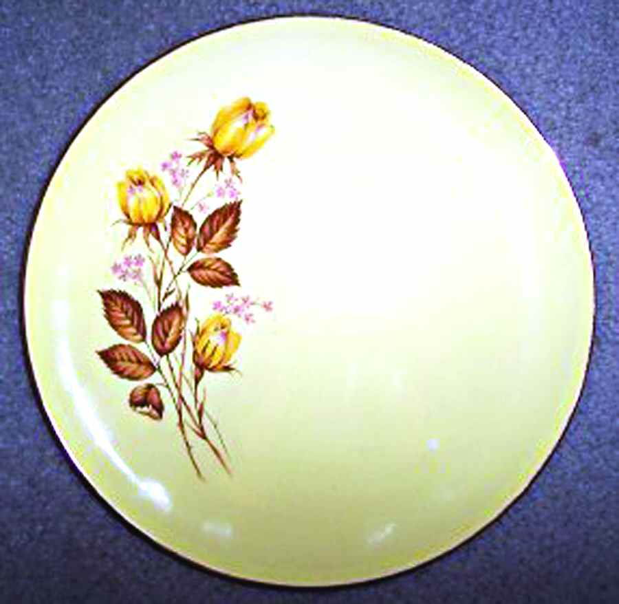 TST856 Dinner Plate by Taylor, Smith & Taylor (Ts&T)-1
