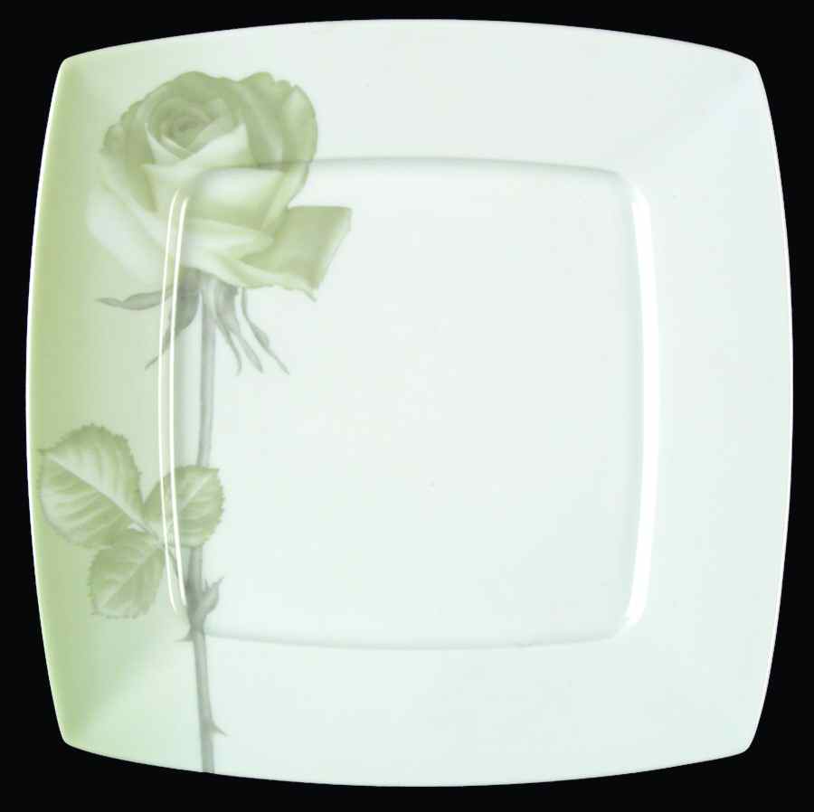 TFP1 Dinner Plate by Tiara Fine Porcelain-1
