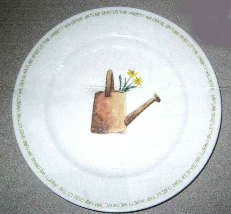 My Garden Salad Plate by Thomson-1