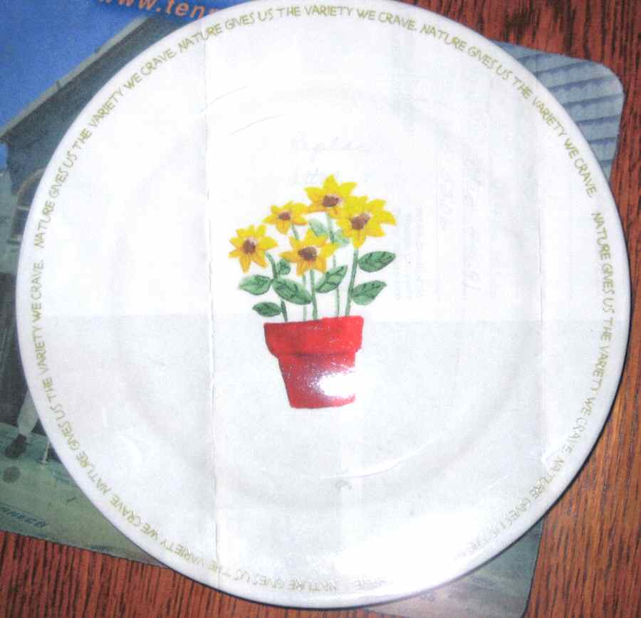 My Garden Salad Plate by Thomson-1