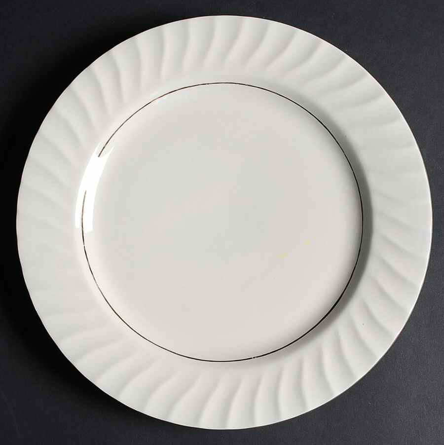 TTO16 Dinner Plate by Totally Today-1