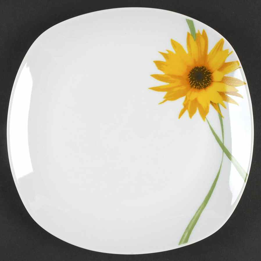 Dolce Dinner Plate by Tabletops Unlimited-1