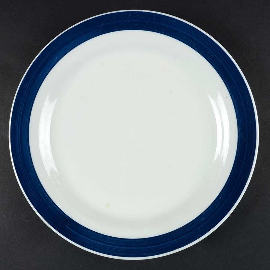 TTO27 Dinner Plate by Totally Today-1