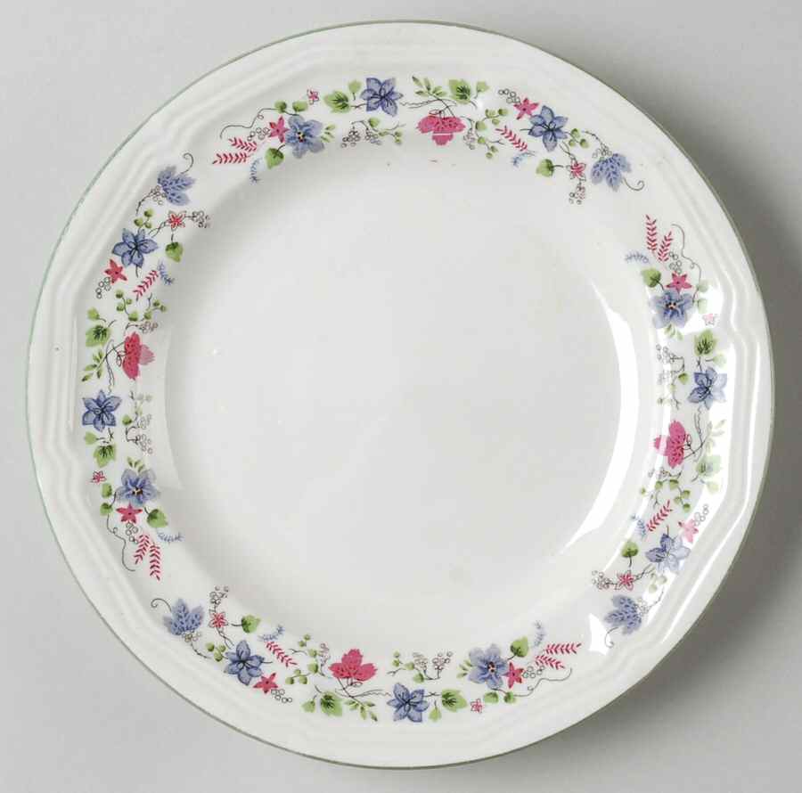 TTO30 Salad Plate by Totally Today-1