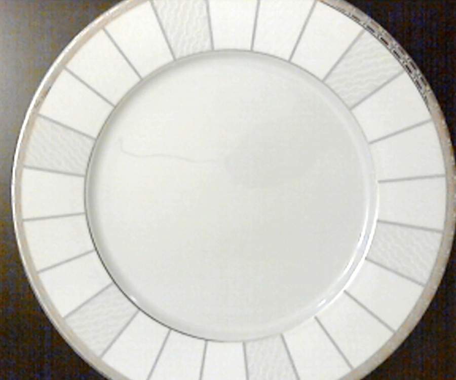 Luna Platinum Dinner Plate by Tiara Fine Porcelain-1
