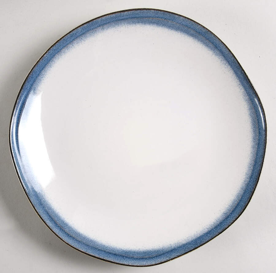 Ashwood Blue Dinner Plate by Threshold-1