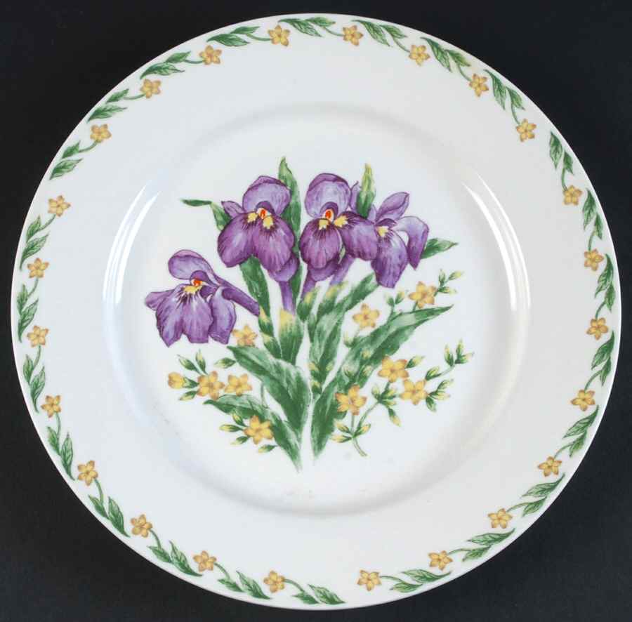 TPT12 Dinner Plate by Thomson-1