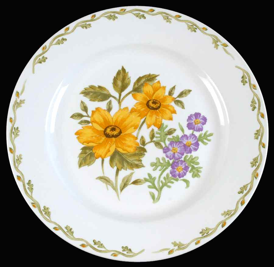 TPT13 Dinner Plate by Thomson-1