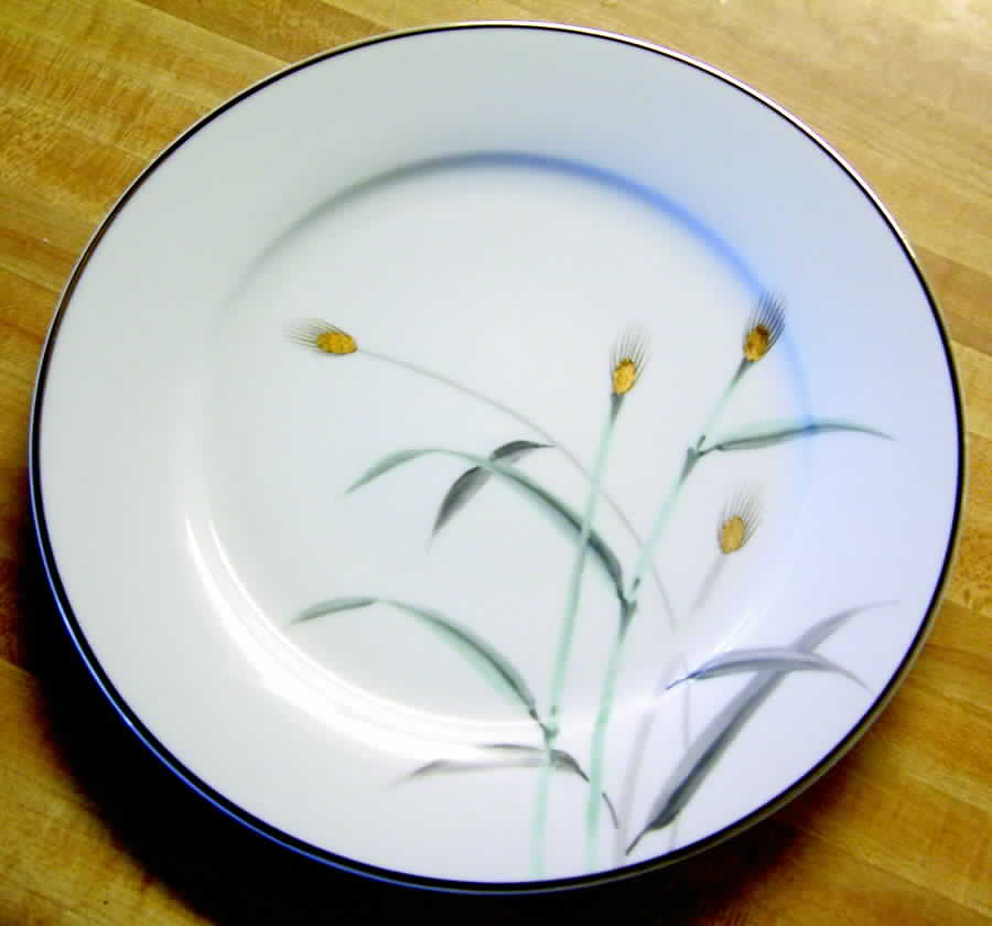 KA21 Dinner Plate by Kanehira China-1
