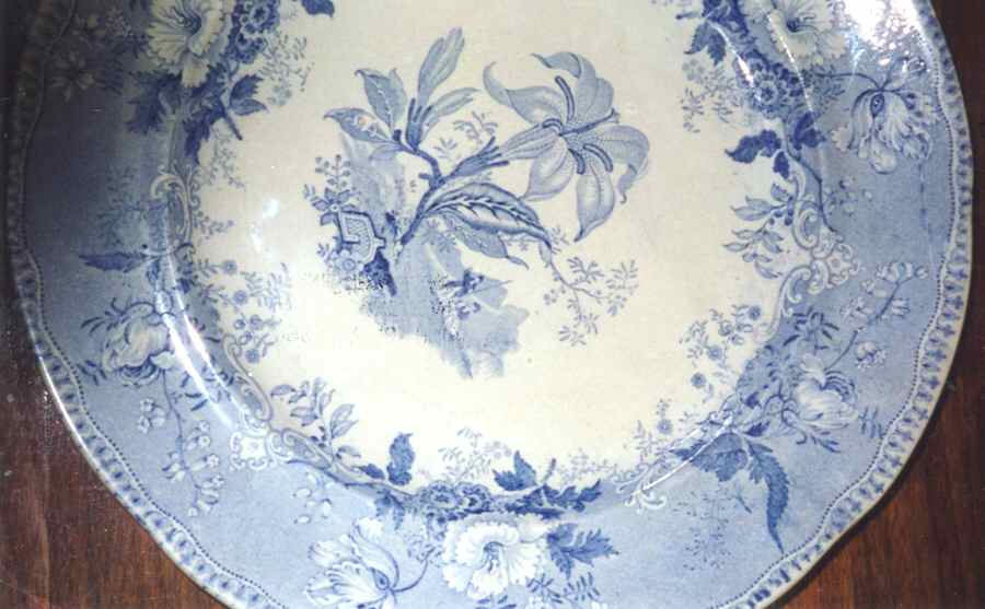 Botanical Beauties Dinner Plate by Elkin & Newbon-1