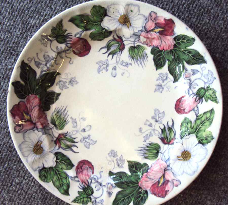 Cotton Plant Dinner Plate by Jacob Furnival & Co-1