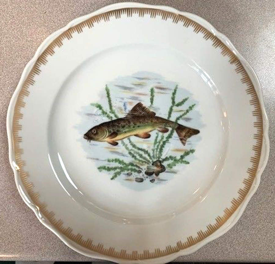 ULE1 Dinner Plate by Couleuvre Limoges-1