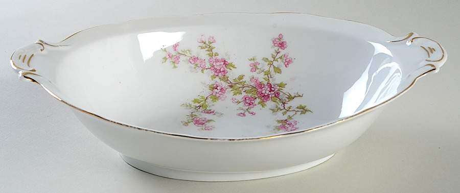 VTO4 10" Oval Vegetable Bowl by Victoria (Austria)-1