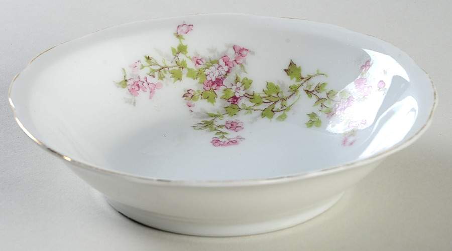 VTO4 Rim Fruit/Dessert (Sauce) Bowl by Victoria (Austria)-1
