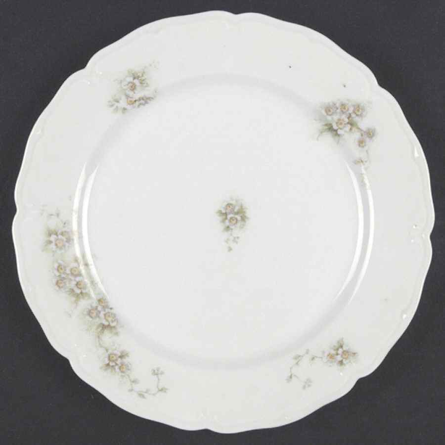 VNN65 Salad Plate by Vienna-1