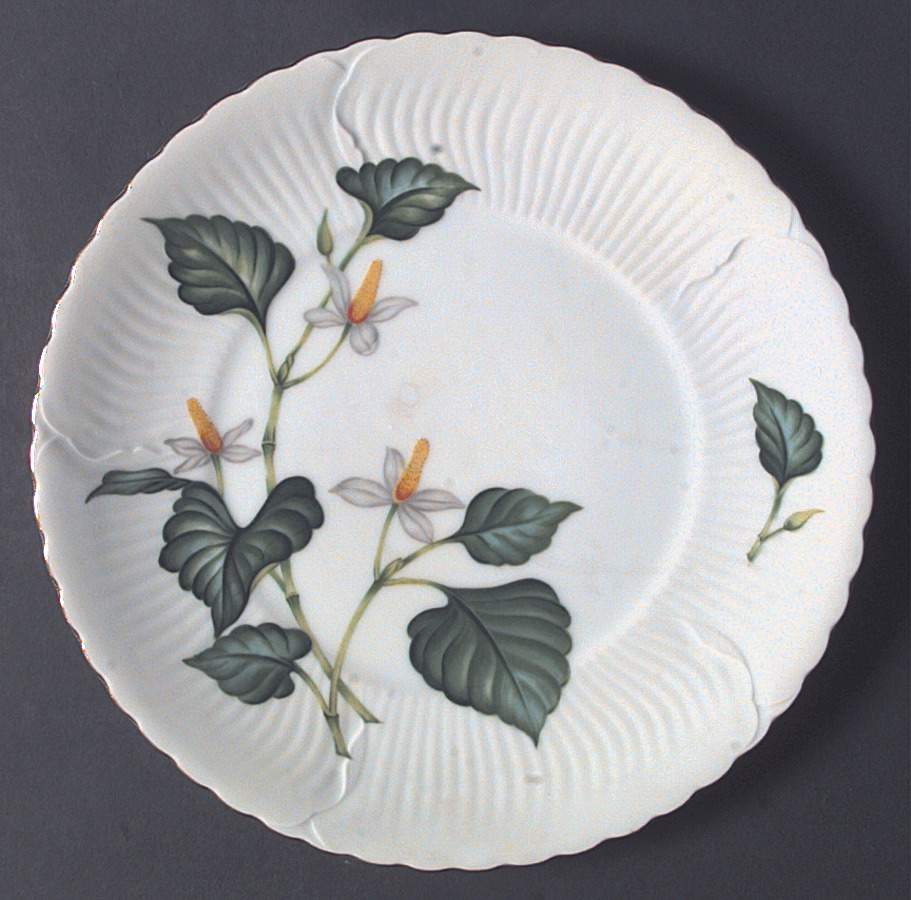 Nola (Japan) Dinner Plate by Victorian (Japan)-1