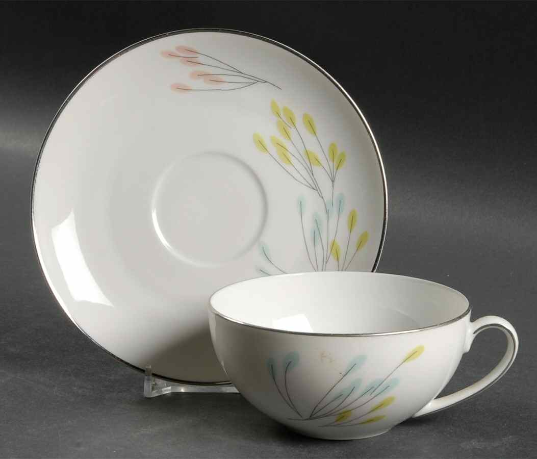 Symphony Flat Cup & Saucer Set by Vita Craft-1