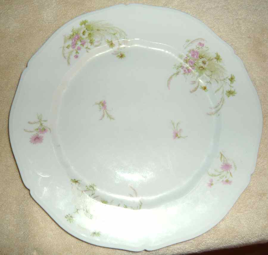 VNN47 Dinner Plate by Vienna-1