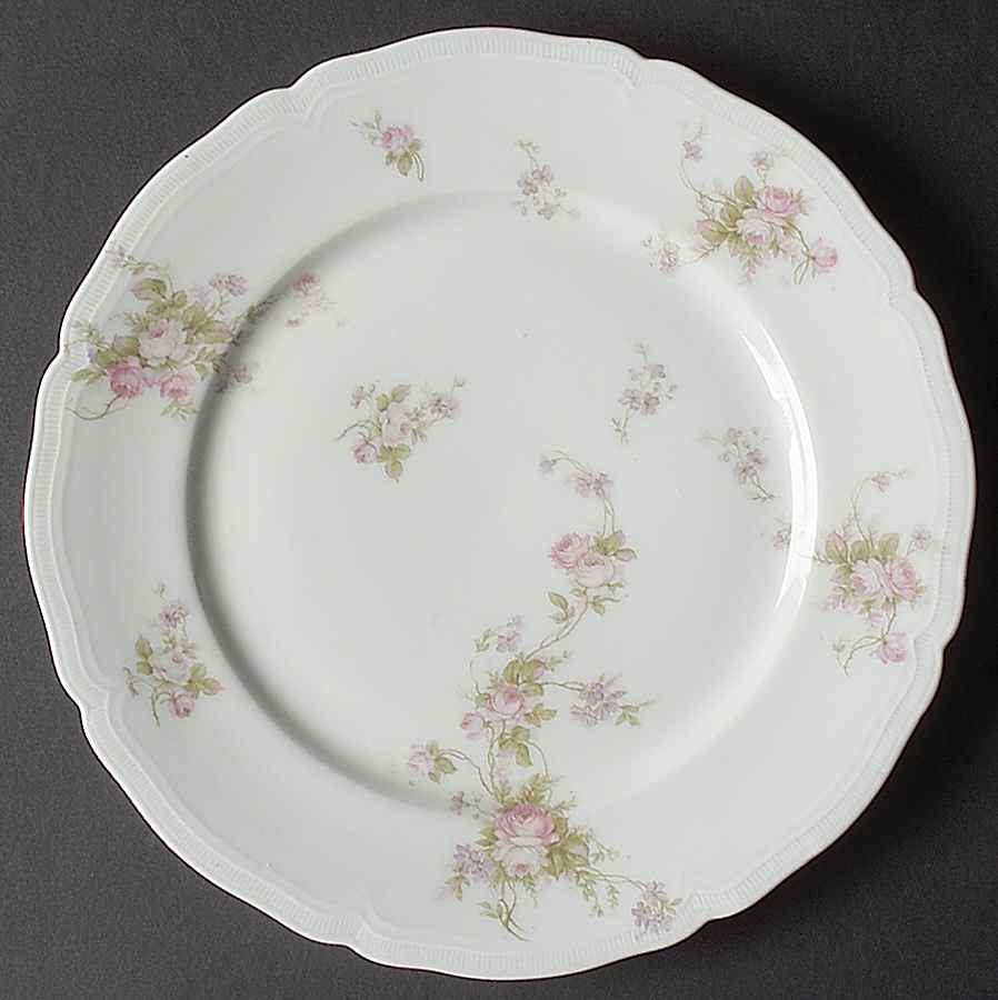 VNN49 Dinner Plate by Vienna-1
