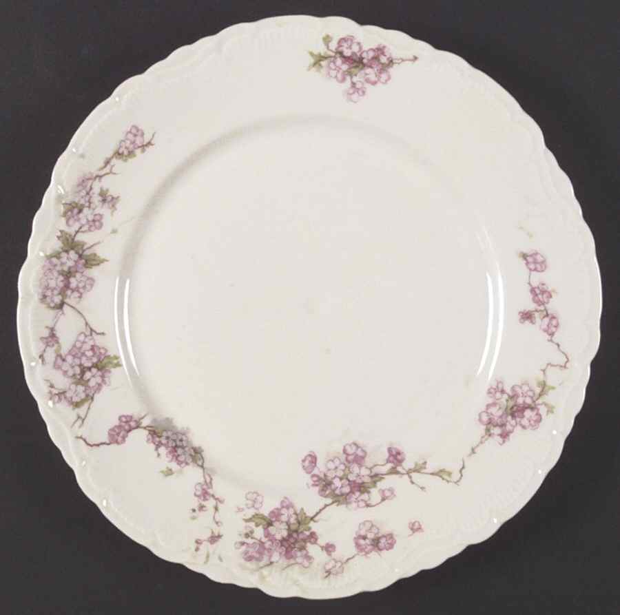 VNN52 Dinner Plate by Vienna-1
