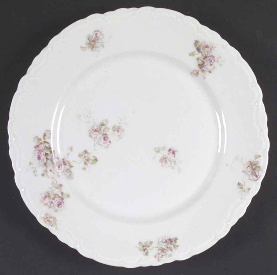VNN53 Dinner Plate by Vienna-1