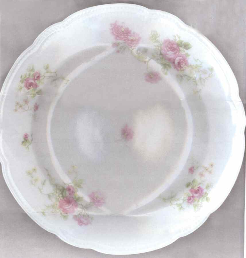 VNN54 Salad Plate by Vienna-1