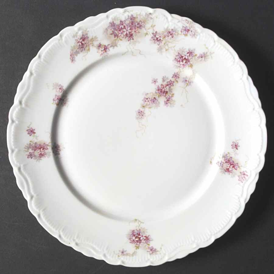 VNN58 Dinner Plate by Vienna-1