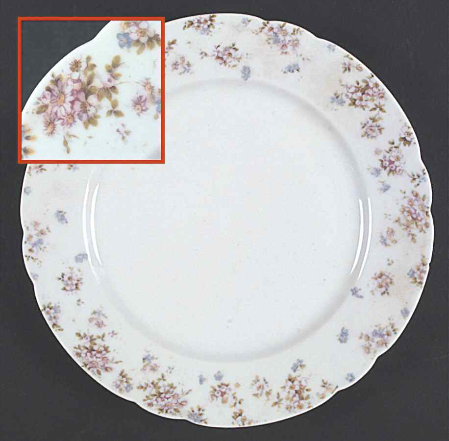 VNN59 Dinner Plate by Vienna-1
