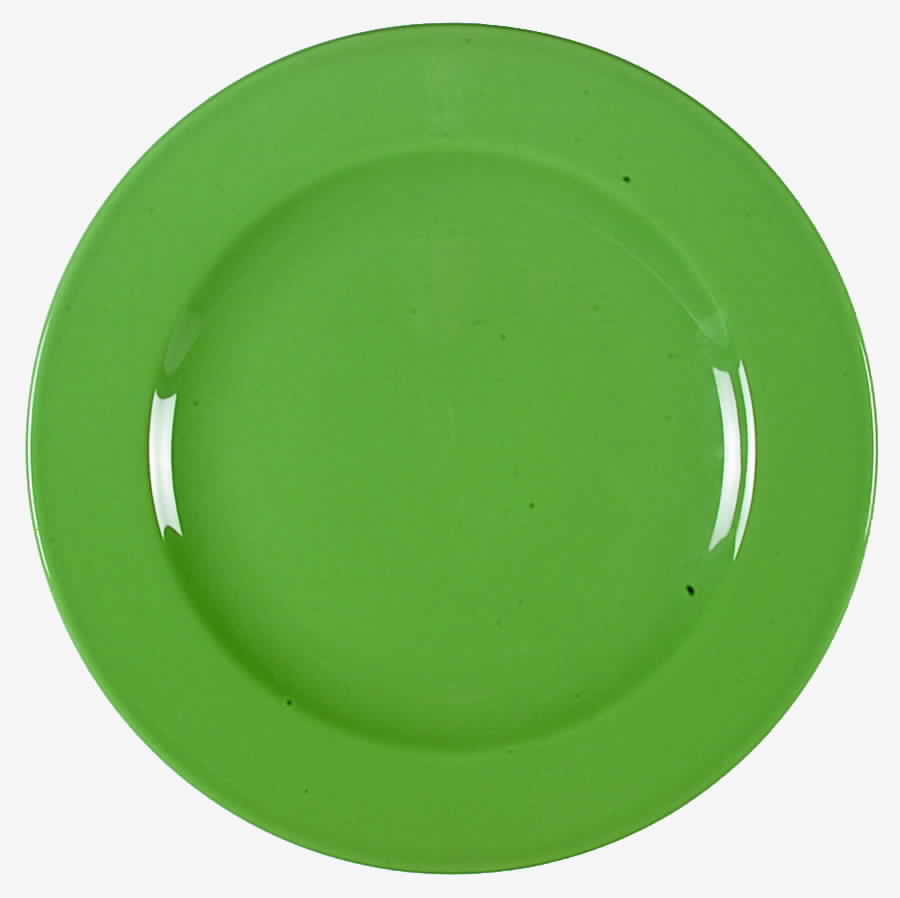 Prisma Aqua (Acqua) Dinner Plate by Vista Alegre-1