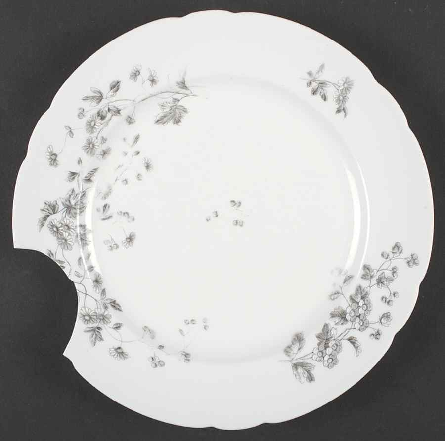 VNN60 Dinner Plate by Vienna-1